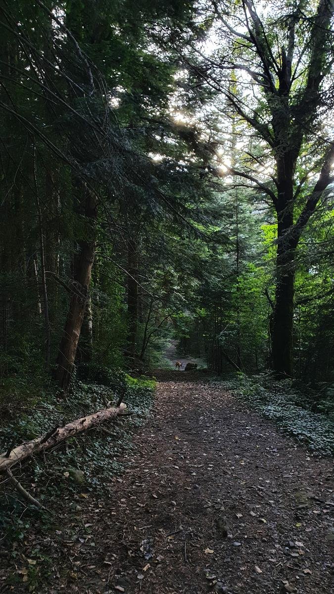 Foto de la ruta