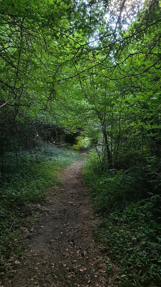 Foto de la ruta