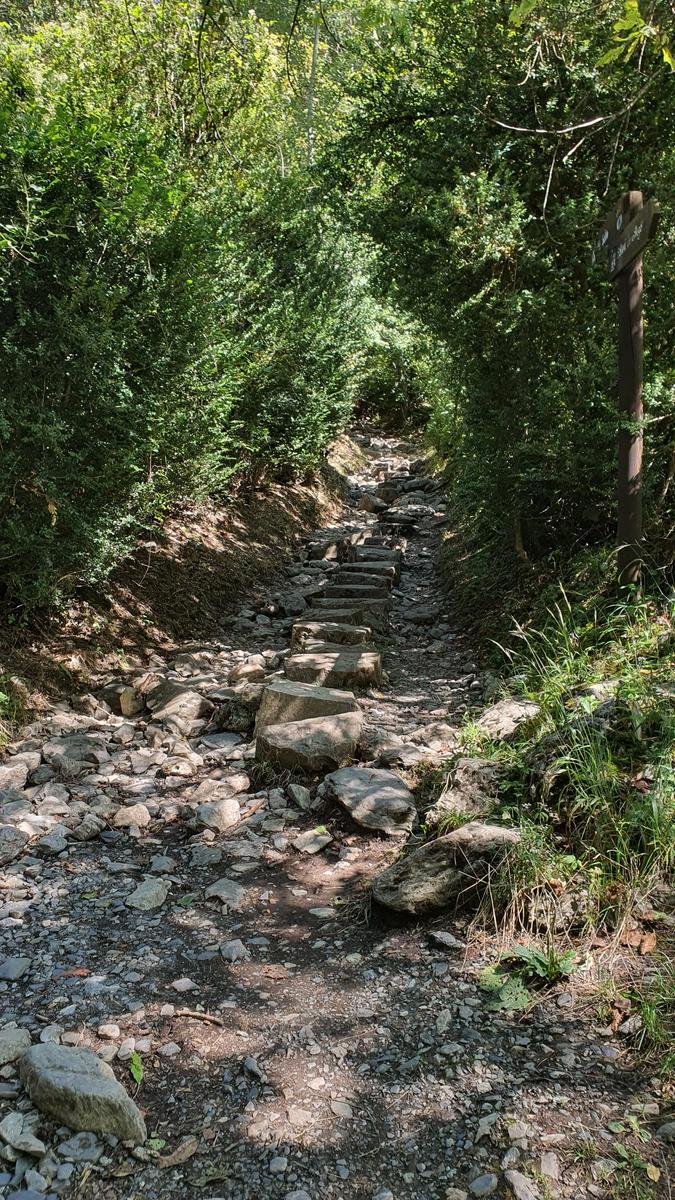 Foto de la ruta